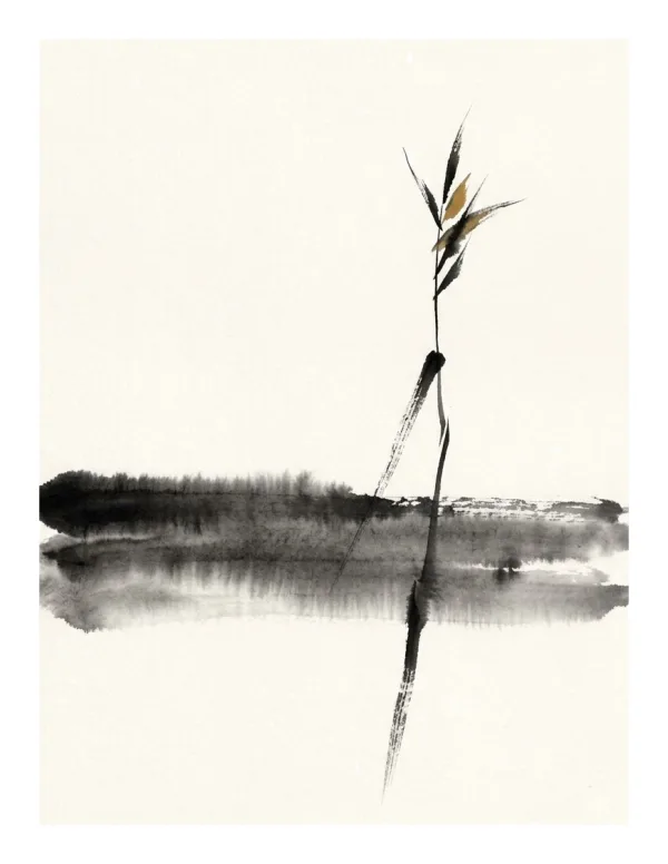 Ink wash painting of a single reed plant with leaves against a pale background, reflected in water below.