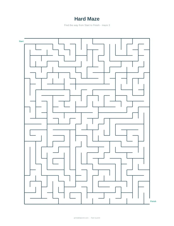 A difficult maze with many turns, a start point on the left, and a finish point on the right.
