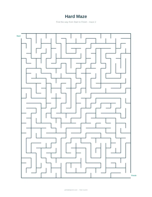 A complex maze with many paths and dead ends, labeled start and finish.