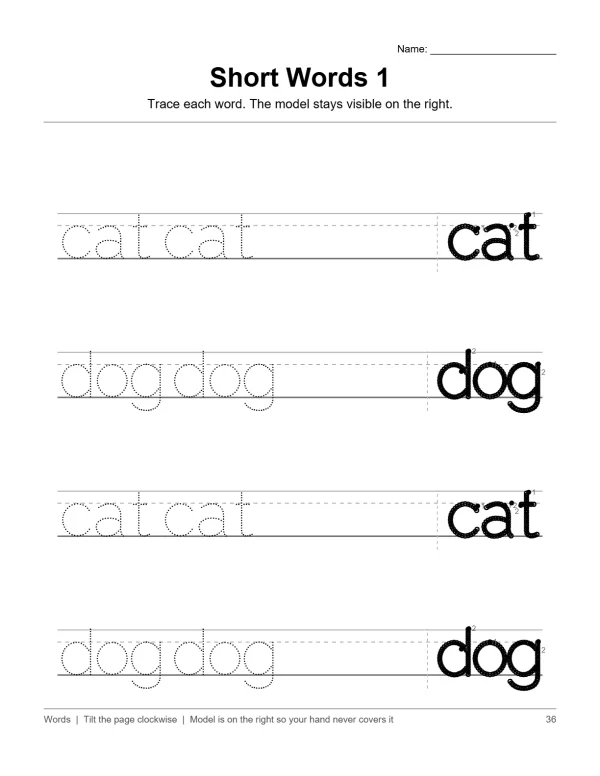 A handwriting worksheet with dotted lines for tracing the words cat and dog, with solid words as examples.